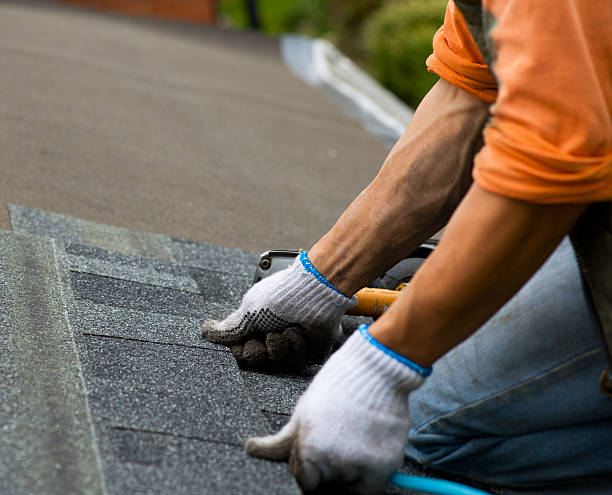 Best Local Roofing Companies  in Somers, MT